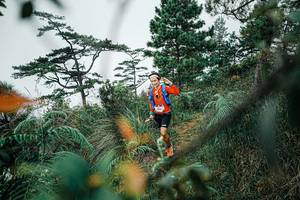 BIB: 
                            <button type="button" onclick="openModal(25259050)" class="btn btn-primary btn-sm float-right btn-popup" data-toggle="modal" data-target=".modal-high-quality">
                        <i class="fas fa-shopping-cart"></i> Add to Cart
                    </button>
                                            <button type="button" onclick="isThisMe(25259050, true)" class="btn btn-success btn-sm float-right btn-popup btn-isme hidden" data-toggle="tooltip" data-placement="bottom" title="นี่คือรูปของคุณใช่ไหม คลิกที่นี่เพื่อเอาเข้าอัลบั้ม">
                        <i class="fas fa-plus"></i> Add to album
                    </button>
                    <button type="button" onclick="isThisMe(25259050, false)" class="btn btn-warning btn-sm float-right btn-popup btn-isnotme hidden">
                        <i class="fas fa-ban"></i> Remove from album
                    </button>